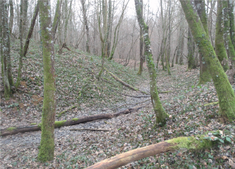canal motte féodale